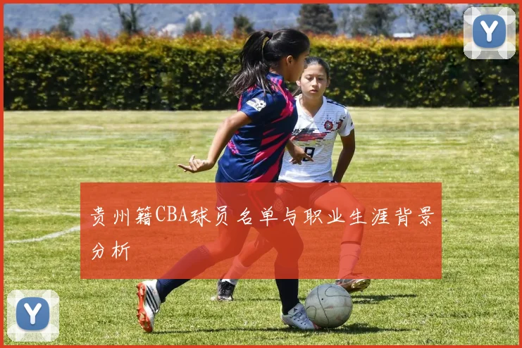 贵州籍CBA球员名单与职业生涯背景分析