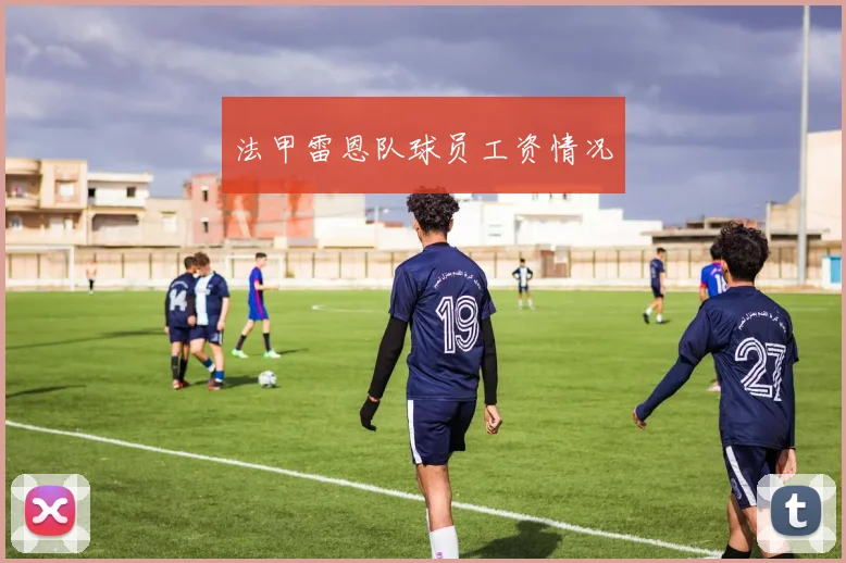 法甲雷恩队球员工资情况