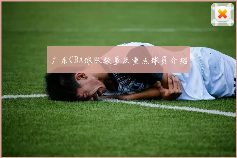 广东CBA球队数量及重点球员介绍