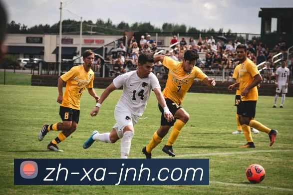 金年会体育平台生态图