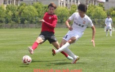 金年会-德甲中有哪些“村级”球队？草根奇迹全纪录
